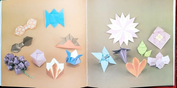 Origami — Mari Kanegae & Paulo Imamura (Used)