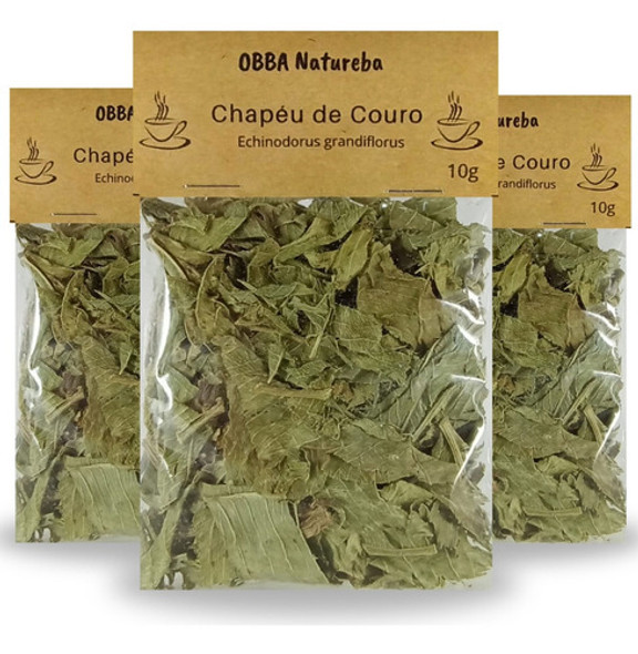 Kit 3chá Chapéu De Couro - Legitimo Echinodorus Grandiflorus 0 Kit 3chá Chapéu De Couro - Legitimo Echinodorus Grandiflorus 0