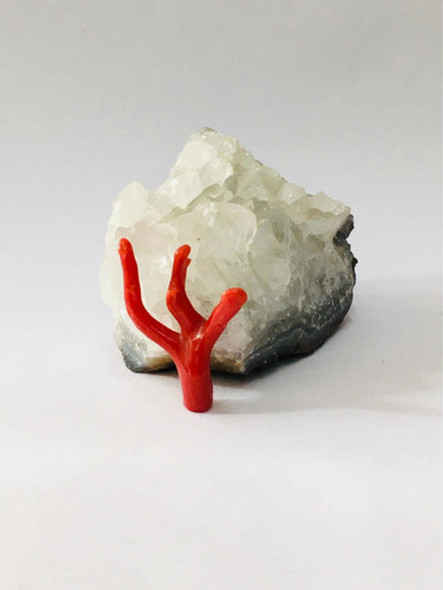 Raíz De Coral Para Engarce - Mikapao 0