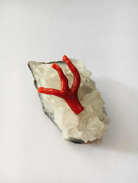 Raíz De Coral Para Engarce - Mikapao 1