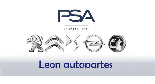 Caja Bitron De Electro Aro Naranja Peugeot 306 405 1