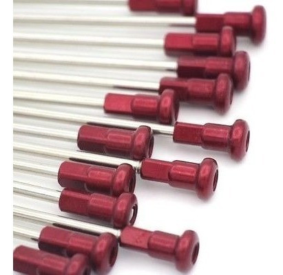 1,6 * 21  Oem Rueda Delantera Habló Set Pezones Rojos Para H 0
