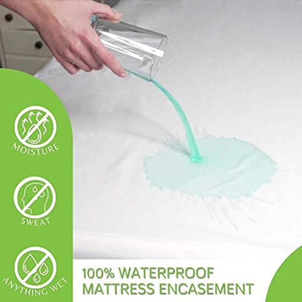 Funda Protectora De Colchón Guardmax Queen Con Cremallera | 1