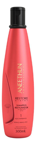 Kit Shampoo E Booster Aneethun Restore System (2 Itens) 1