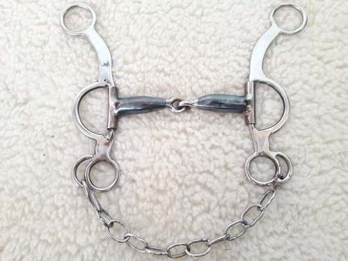 Bridão Fernandinho Inox Modelo 2020 1