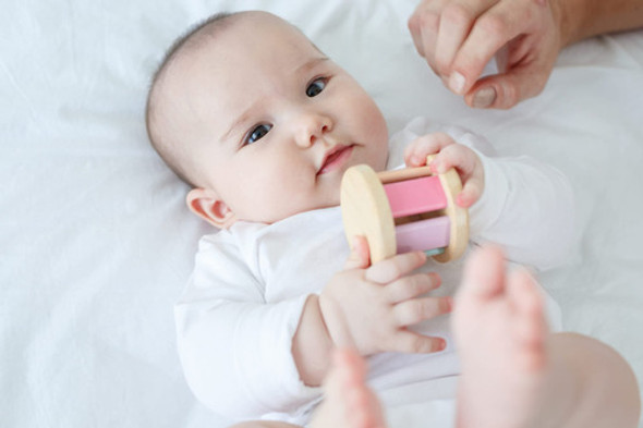 Plantoys Juguete De Rodillo - 7350718:ml A $126990 1