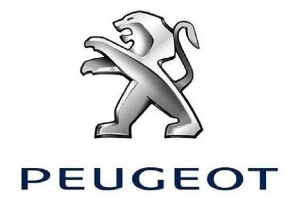 Liquido De Frenos Peugeot Original 1610725580 1
