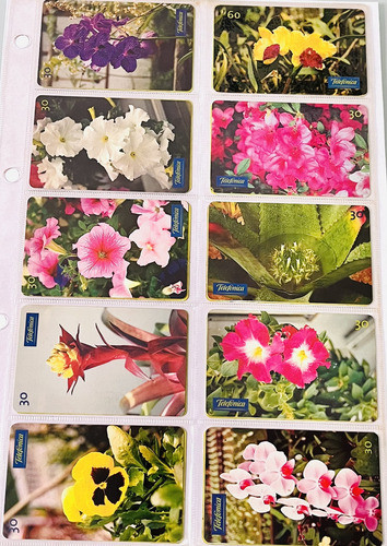 Kit Com 40 Cartões Telefônicos Flores E Frutas 0