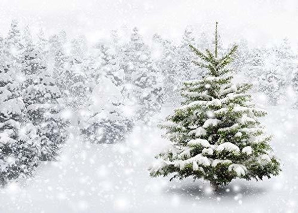 Telón De Fondo Navideño Natural, Bosque De Invierno, Copo De 1