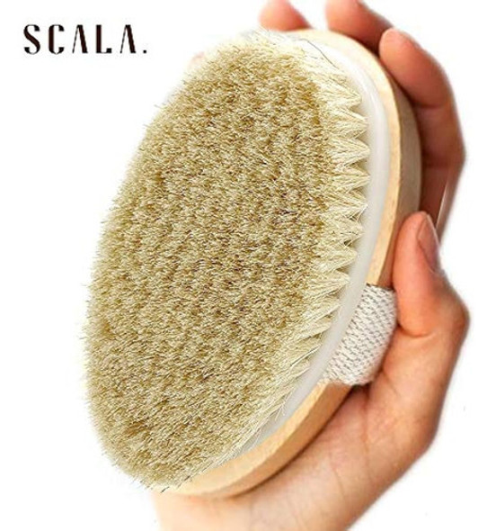 Cepillo Exfoliante Para Cuerpo Húmedo Y Seco: Cepillo De Cer 1