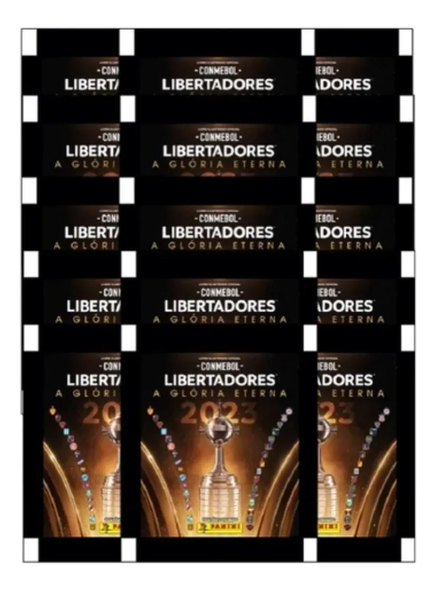 Panini CONMEBOL Libertadores 2023 Sticker Pack Kit – 100 Packs (5 Stickers Each) – Soccer Album Collection