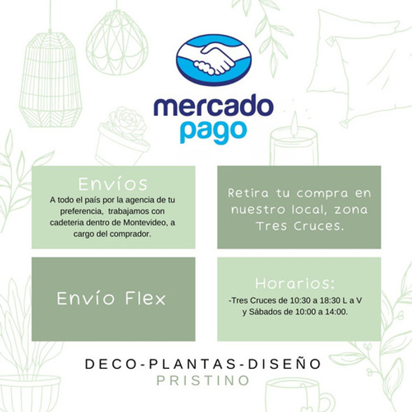 Bioetanol Con Citronela Antimosquitos Botella 500 Ml 1