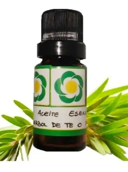 Aceite Esencial De Árbol De Te,pack De 5 Unidades 0