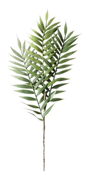 Combo Hoja De Palmera 40 Cm Decoracion Pack X 10 0