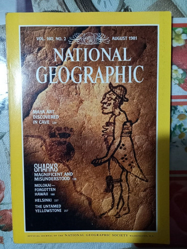 Revista National Geographic Agosto De 1981 Sharks 0