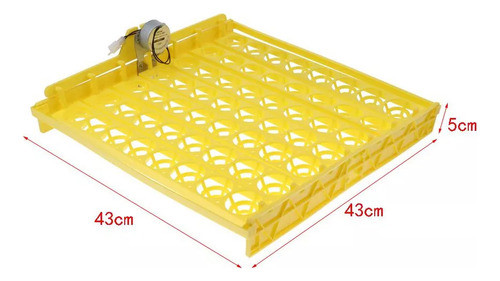 Incubadora De Suprimentos Para Aves Com Codorna, Frango, Pat 1