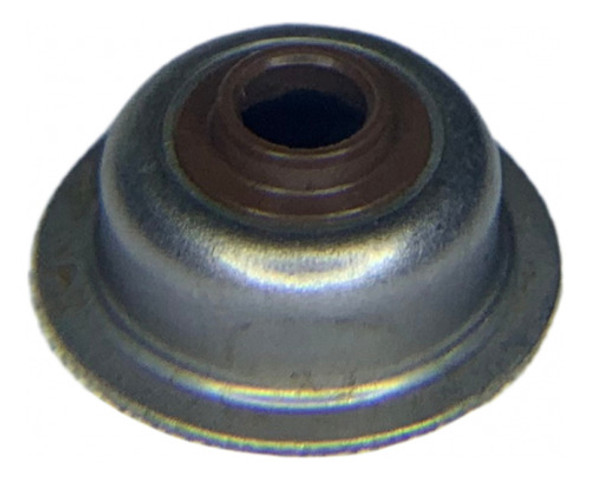 Retentor De Válvulas Motor Gasolina 5.5 6.5 7hp Branco Toyam 0