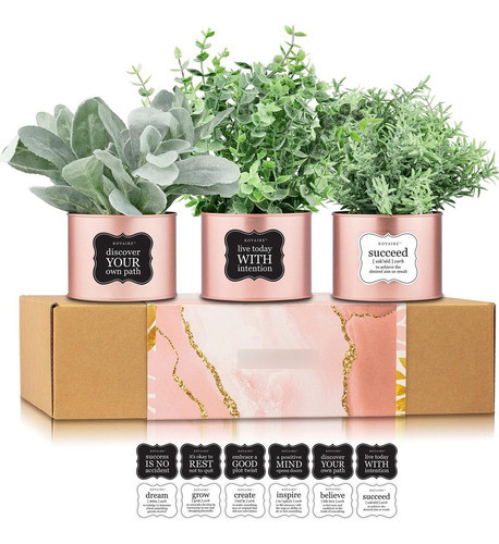 Koyaire 3 Plantas Imitación Motivacionales Escritorio Oro 0