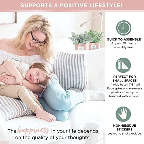 Koyaire 3 Plantas Imitación Motivacionales Escritorio Oro 1