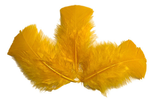 Peninhas De Galinha Fuê Penas Artesanato 25g Amarelo Ouro 0