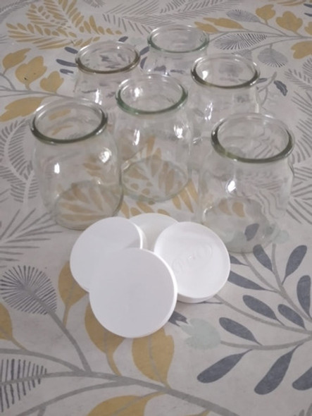 20 Frascos Dahi Con Tapa 0