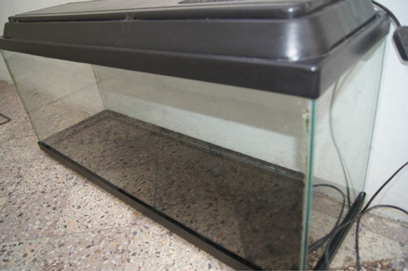 Pecera Mainar 60x40x30 Hot Sale Con Mundo Acuatico 1 Pecera Mainar 60x40x30 Hot Sale Con Mundo Acuatico 1