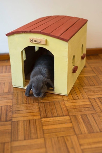 Casita Para Conejo Con Piso 1