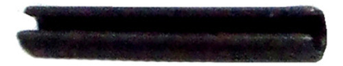 Pino Elastico 0