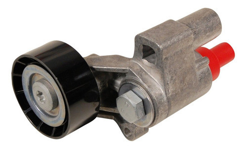 Tensor Poly-v Peugeot 306/206 (98/03) 1.9 Diesel 0