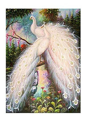 Pintura Por Diamantes Kit Completo 30x40cm -925rcpfy 0