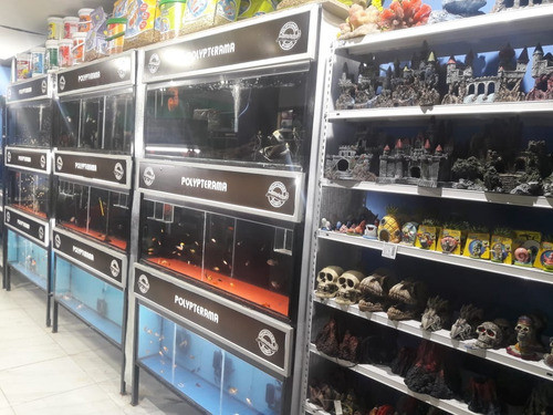 Repuesto Hélice Impeller Bomba Rs 6100 Polypterama 1