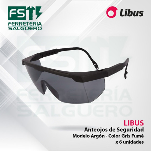 Anteojo De Seguridad X 6u Gris Protección Uv Libus Argon Fs 1