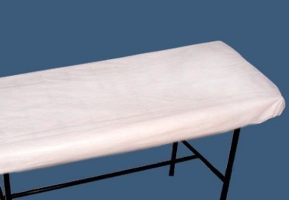 Cubrecamillas Vinilico Teflonado 2m X 080 X 010 Cm 1 Cubrecamillas Vinilico Teflonado 2m X 080 X 010 Cm 1