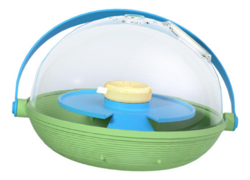 Incubação De Tartarugas Incubadora De Animais Incubação 0