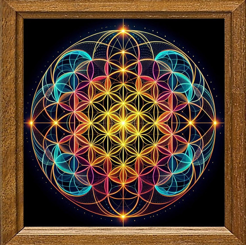 Cuadro De Arte Digital Flor De Vida 50x50cm Única 0