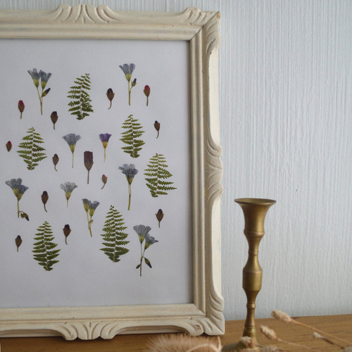 Cuadro Flores Prensadas -  Composición 4 1