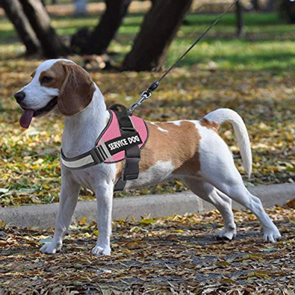 Jsxd Arnes Para Perros, Servicio Sin Tirones Arnes Para Pe 1