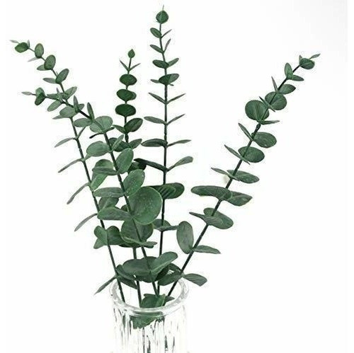 Tinsow 5 Piezas De Hoja De Tacto Real Tallo De Eucalipto Art 1