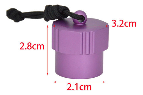 Tampa De Poeira Para Válvula De Tanque Internalthreadpurple 1
