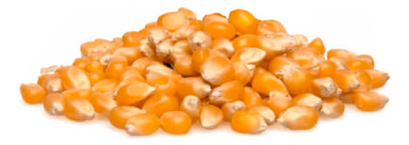 Maíz Pisingallo Para Pochoclo X 500 Grs 0