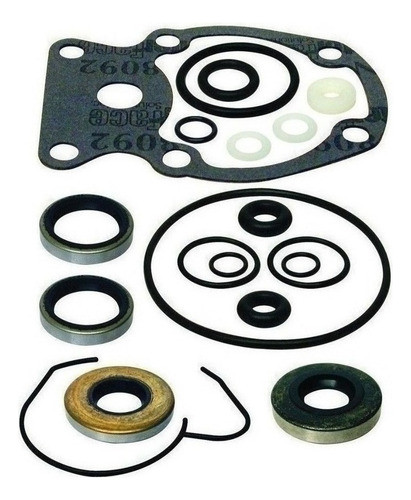 Kit De Retenes De Pata Motor Evinrude 35 Hp 1977+ 0
