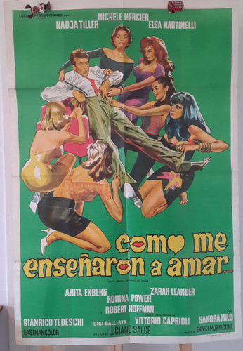 Afiche Cine  Robert Hoffman Romina Power How I Learned Love 0