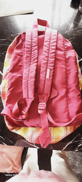 JanSport Checkered Bubblegum Pink Backpack – Excellent Condition