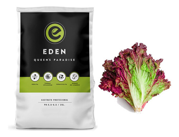 Sustrato Eden 25lts Con Semillas De Lechuga Morada 0