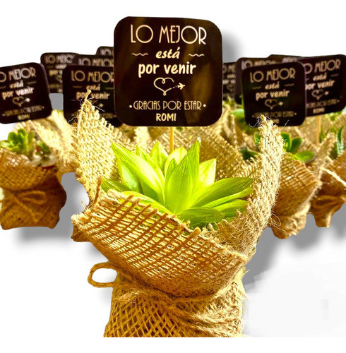10 Mini Suculentas Souvenir Plantitas Regalo Evento Isiflor 0