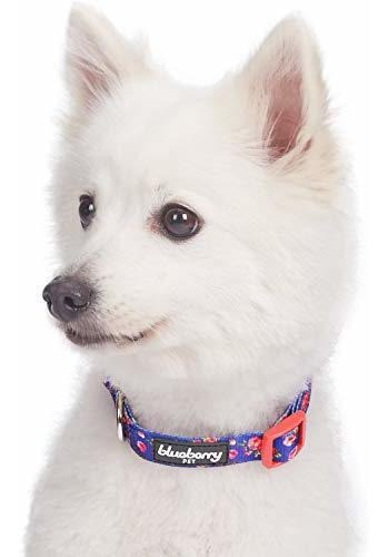 Coleccion Floral De Aroma De Primavera De 20 Patrones Para 1