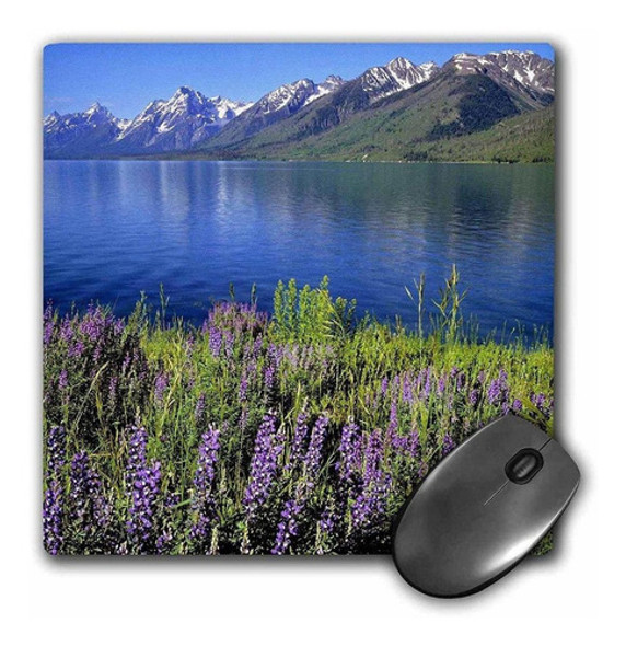 3drose Llc 8 x 8 x 0.25 inches Mouse Pad, Wyoming Grand T 0 3drose Llc 8 x 8 x 0.25 inches Mouse Pad, Wyoming Grand T 0