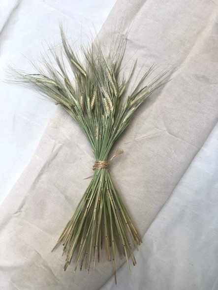 Ramo Espigas 1