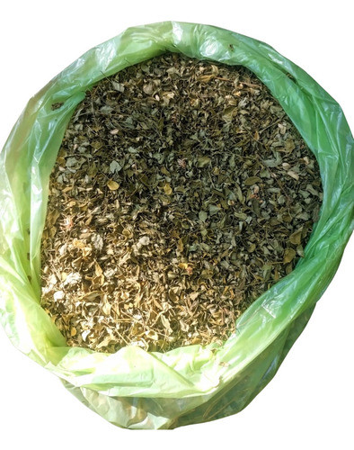 Moringa Oleifera En Hojas 3 Kg Producto Artesanal De Calidad 0