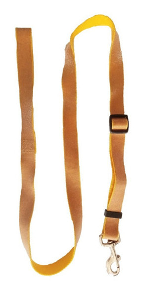 Correa Amarilla Con Brillante Dorado Para Perro 1